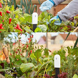 Rhubarb Smart Plant Monitor Soil Moisture, Light, Nutrient Meter