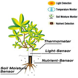 Basil Smart Plant Monitor Soil Moisture, Light, Nutrient Meter