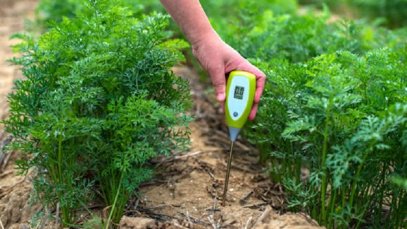 agriculture soil moisture meter Portable Digital Soil Moisture Meter/Tester – Lawn & Tractor Co
